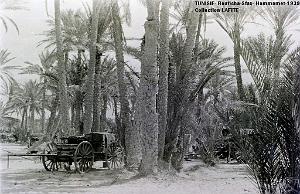 TUNISIE 1939  66 EME  REGIMENT D ARTILLERIE (49)
